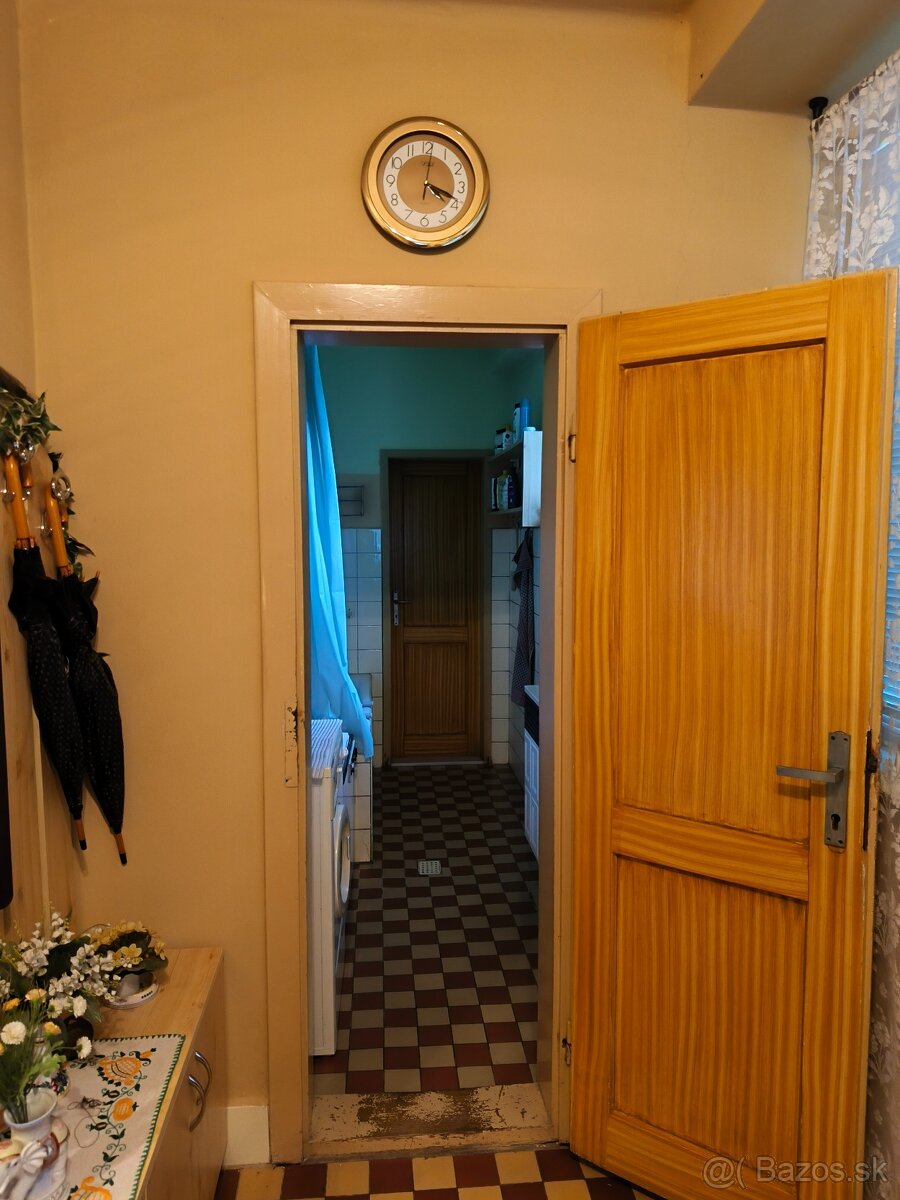 Starší dom na predaj len 3km od Malého Dunaja - Topoľníky - 4