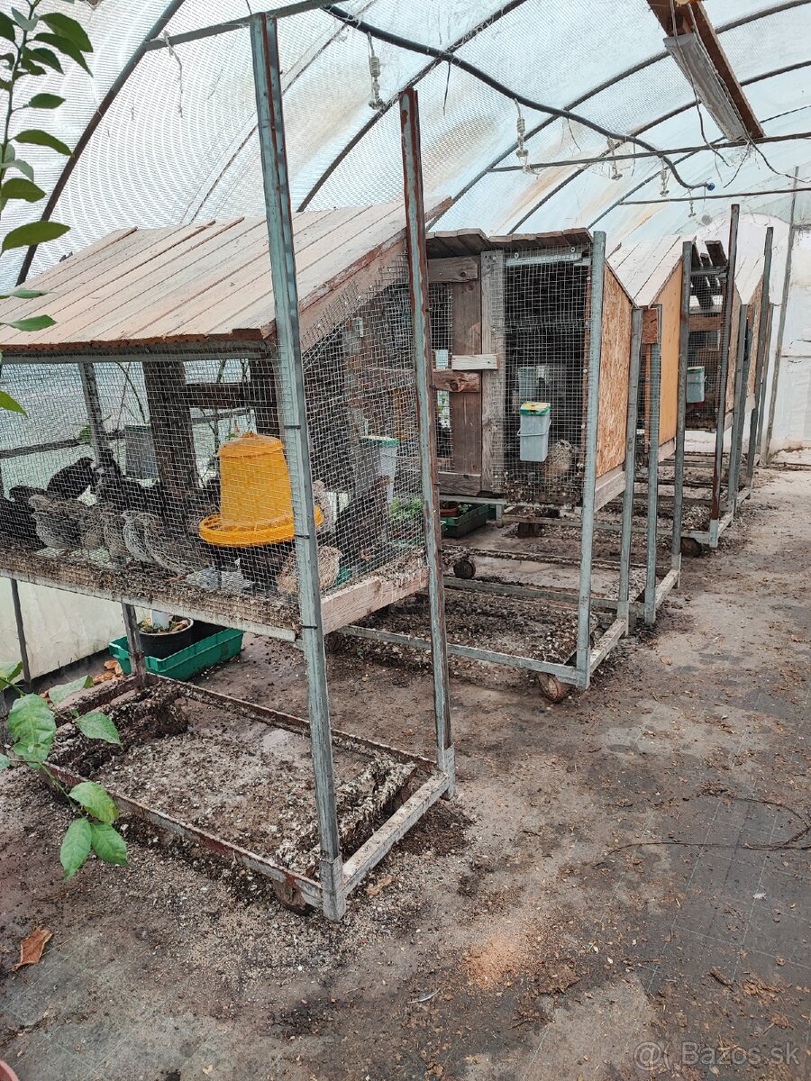 Klietka / voliera - 4