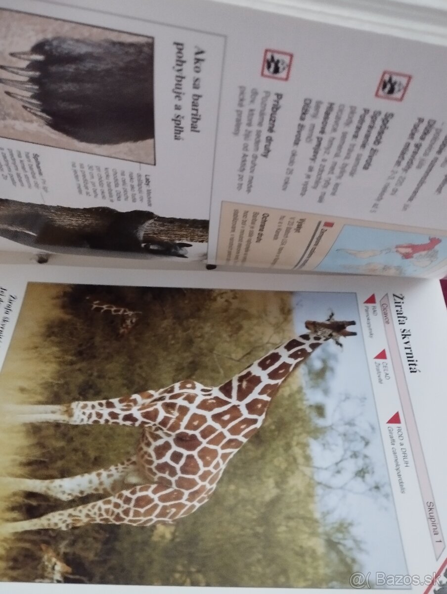 Encyklopédia zvierat - 4