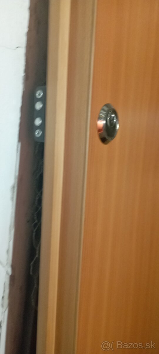 KVALITNÉ PANCIEROVÉ DVERE BCD1 - 4