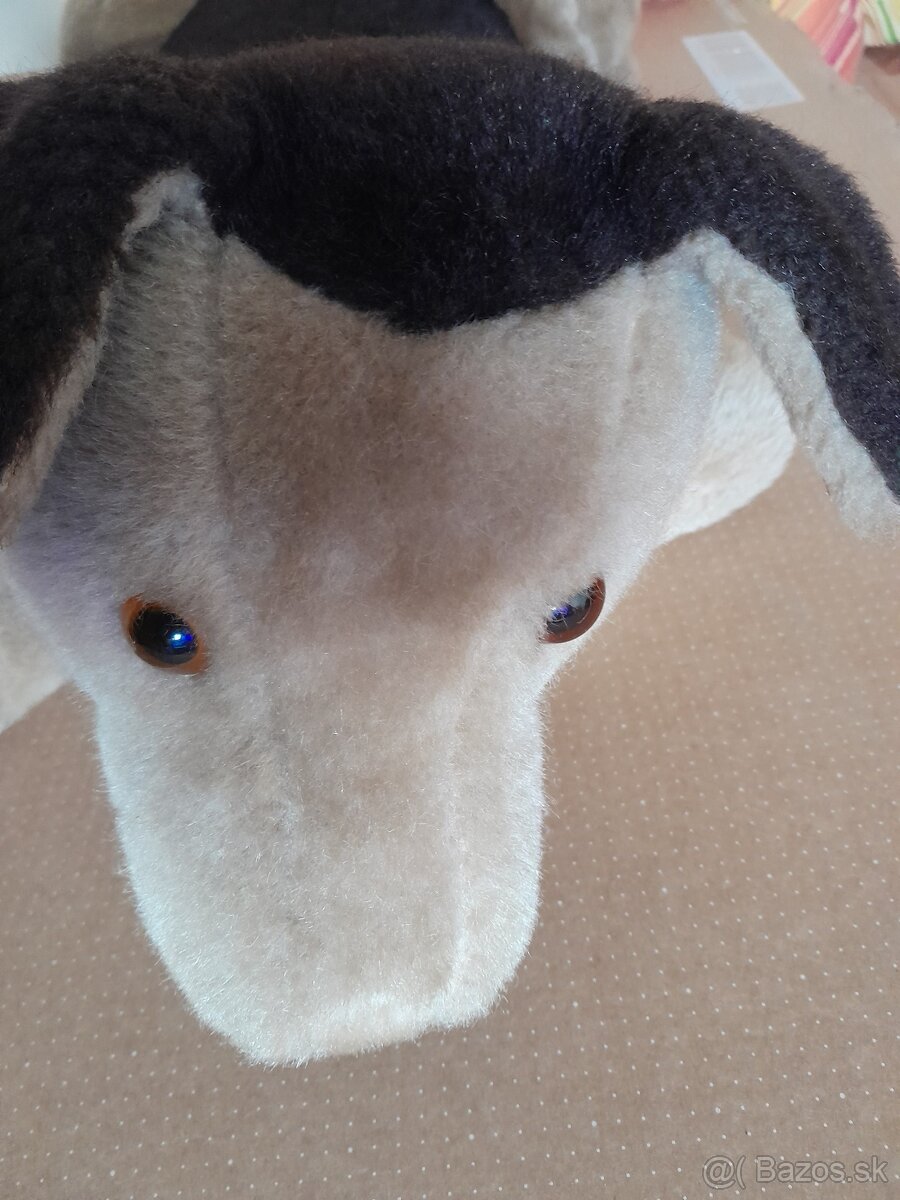 Predam velkeho plysoveho psa - 4