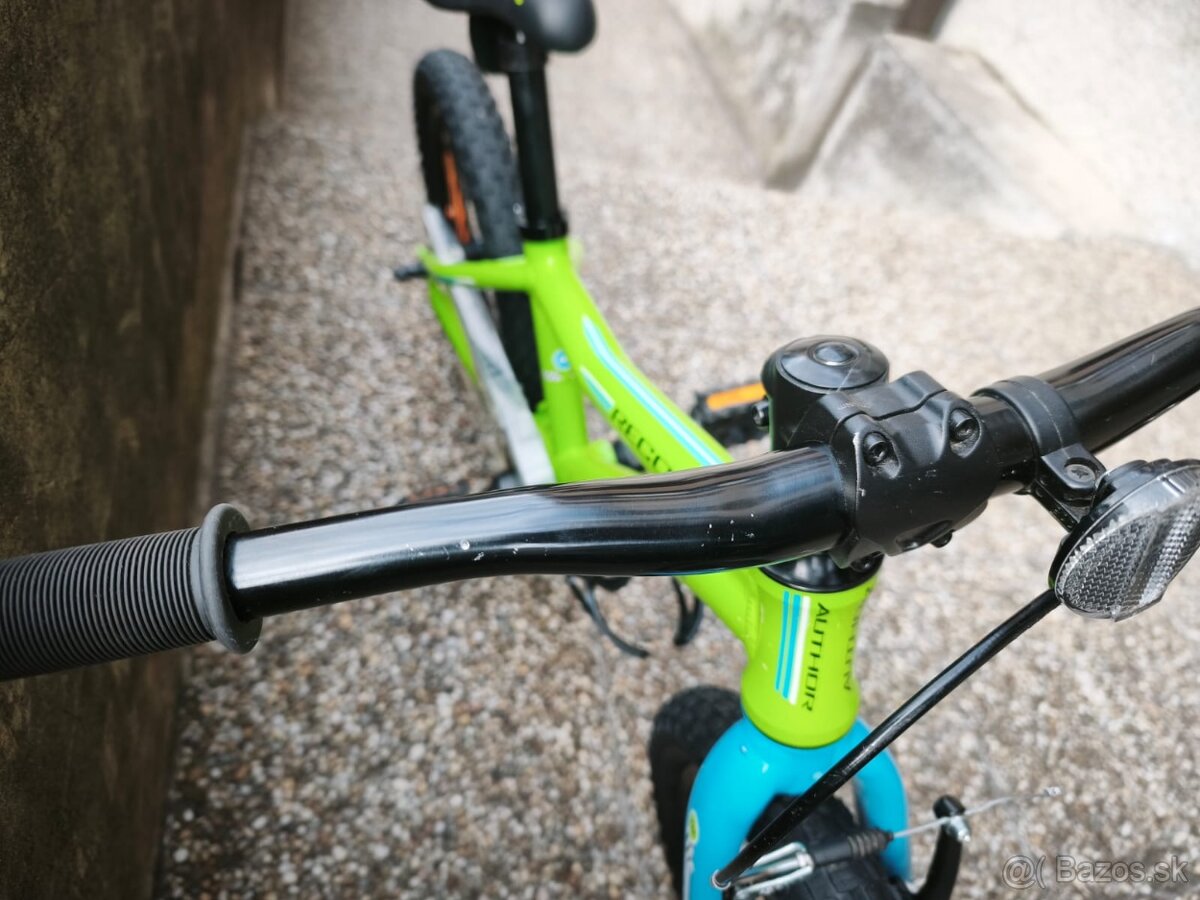 Author Record 16 - 4