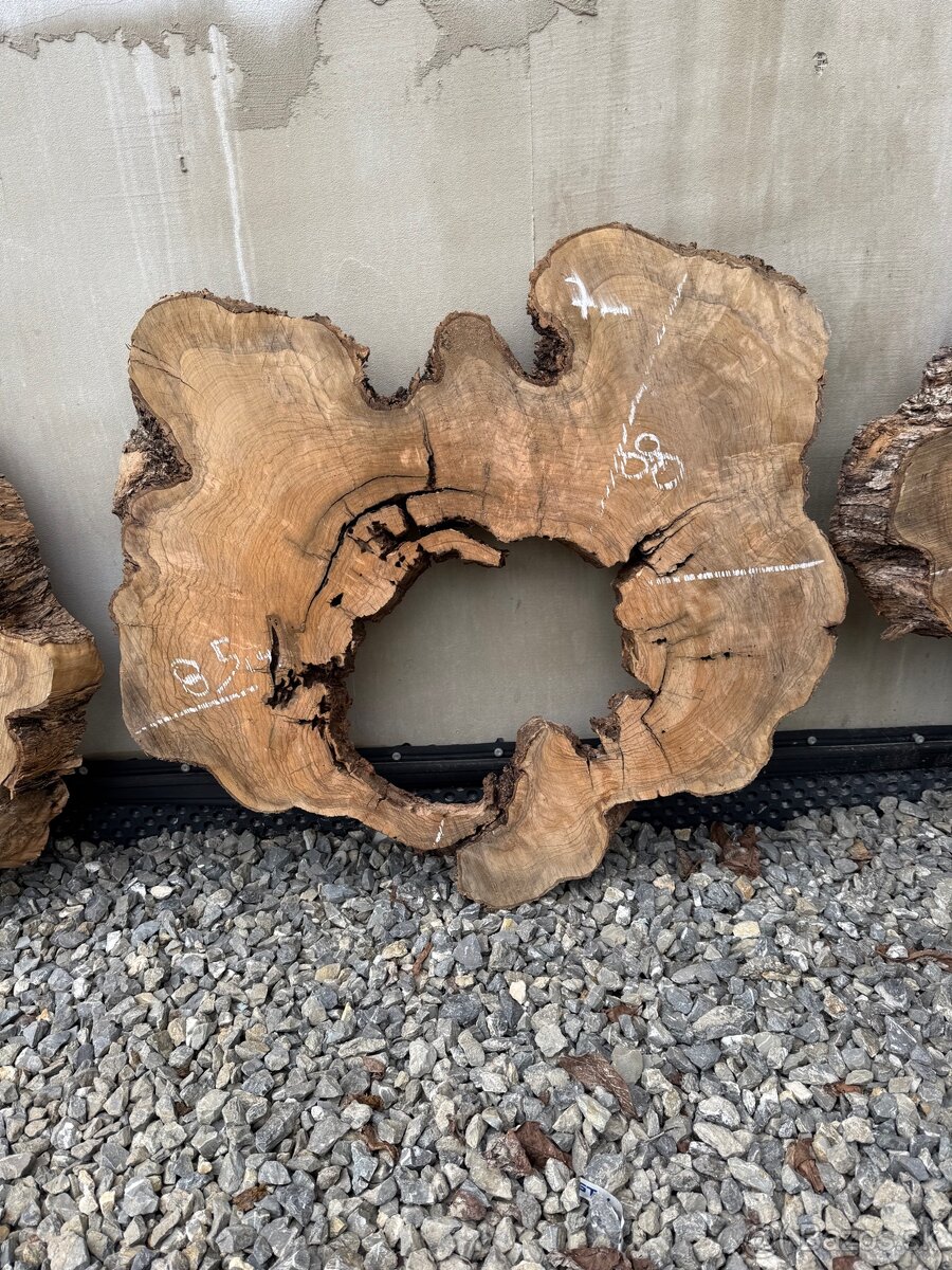 Olivové priečne rezy – vzduchosuché na konferenčné stolíky 🪵 - 4