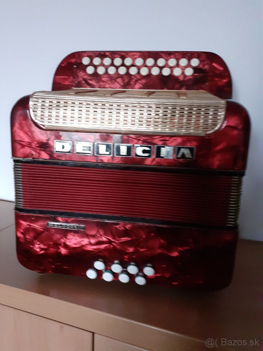 Heligonka Delicia favorit 1 - 4