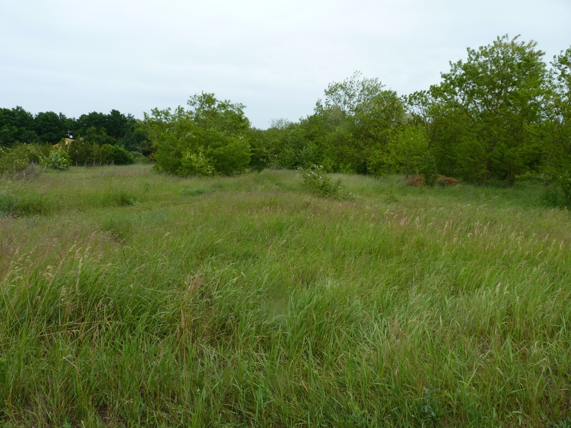 Predaj, pozemok, Marcelová - 4