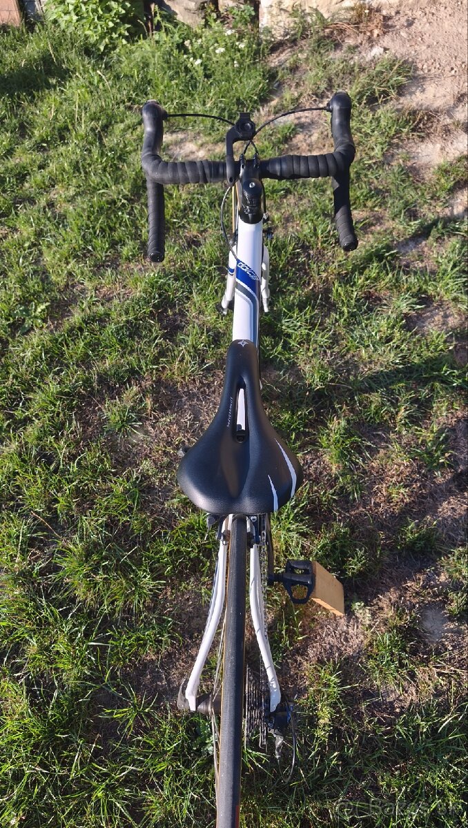 Specialized dolce 44cm - 4