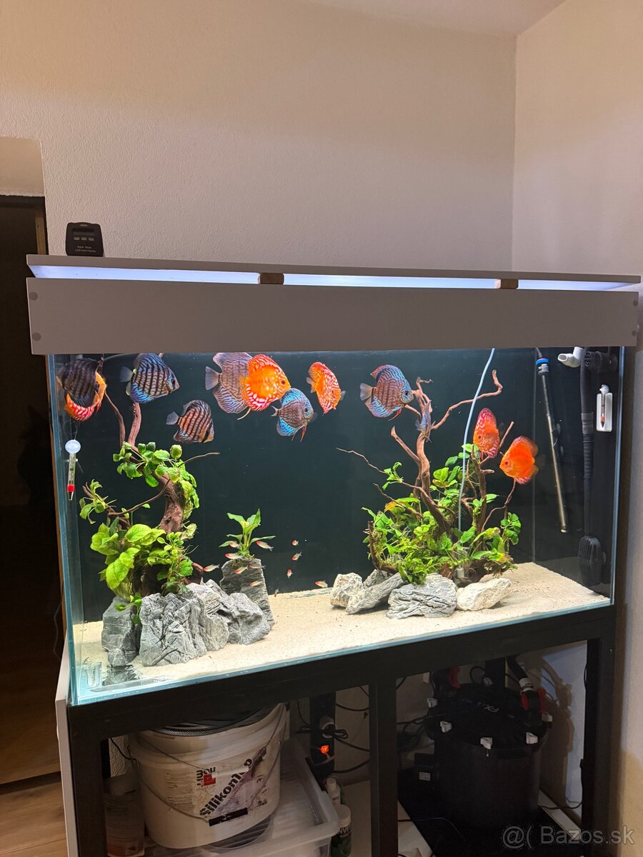 455l Akvarium - 4