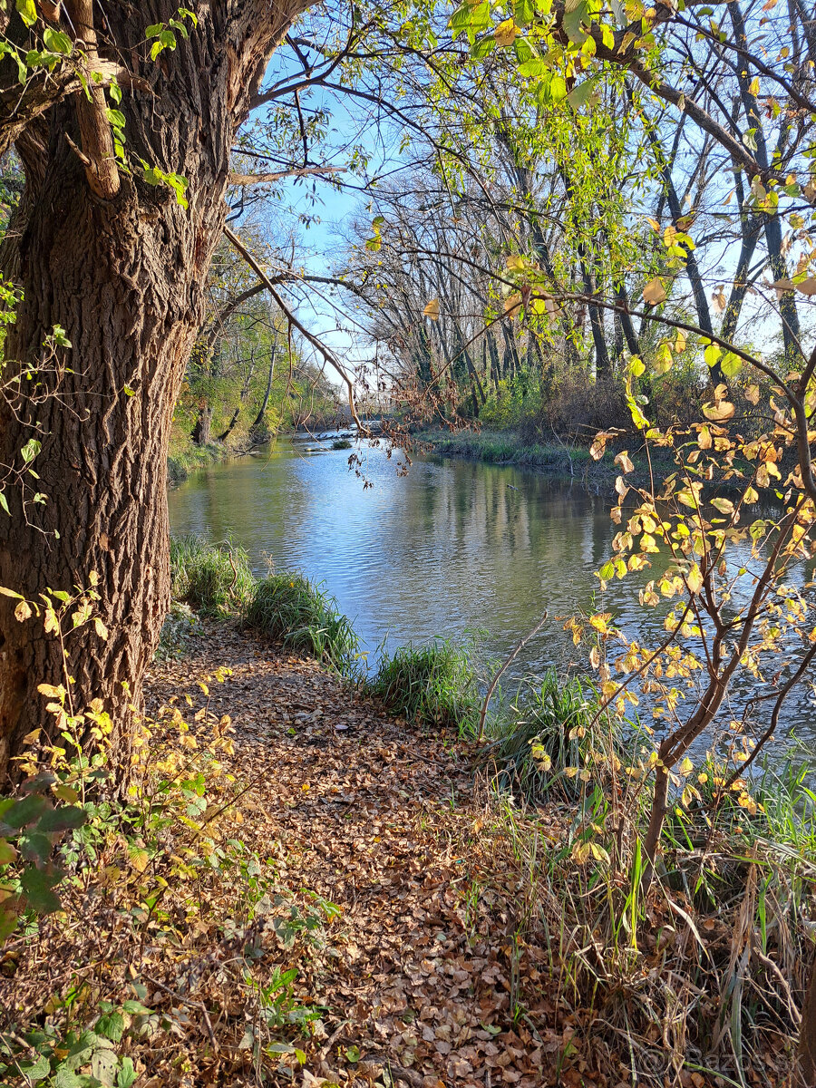 Predám stavebný pozemok v obci Kráľov Brod - 4