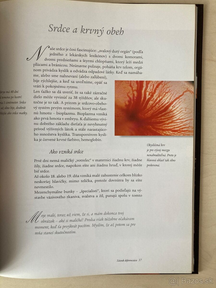 Zazracna cesta do zivota - 4