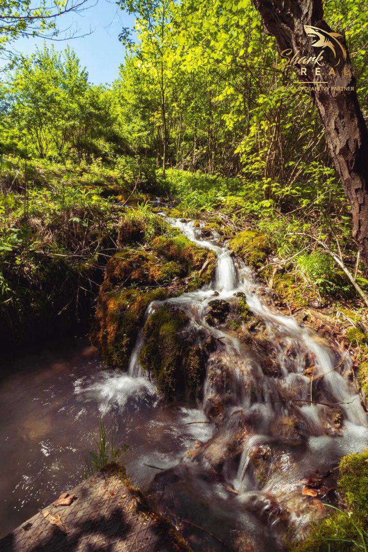 REZERVOVANÉ Čarovná chata uprostred prírody s tečúcim poto - 4