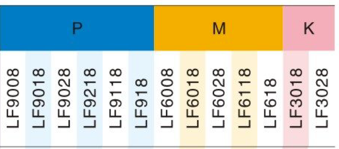 Sustruznicke platky - 4