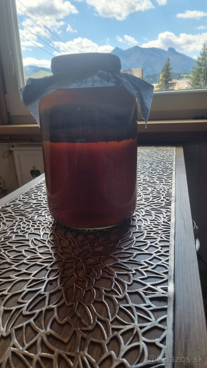 Ponúkam čajovú hubu KOMBUCHU - 4