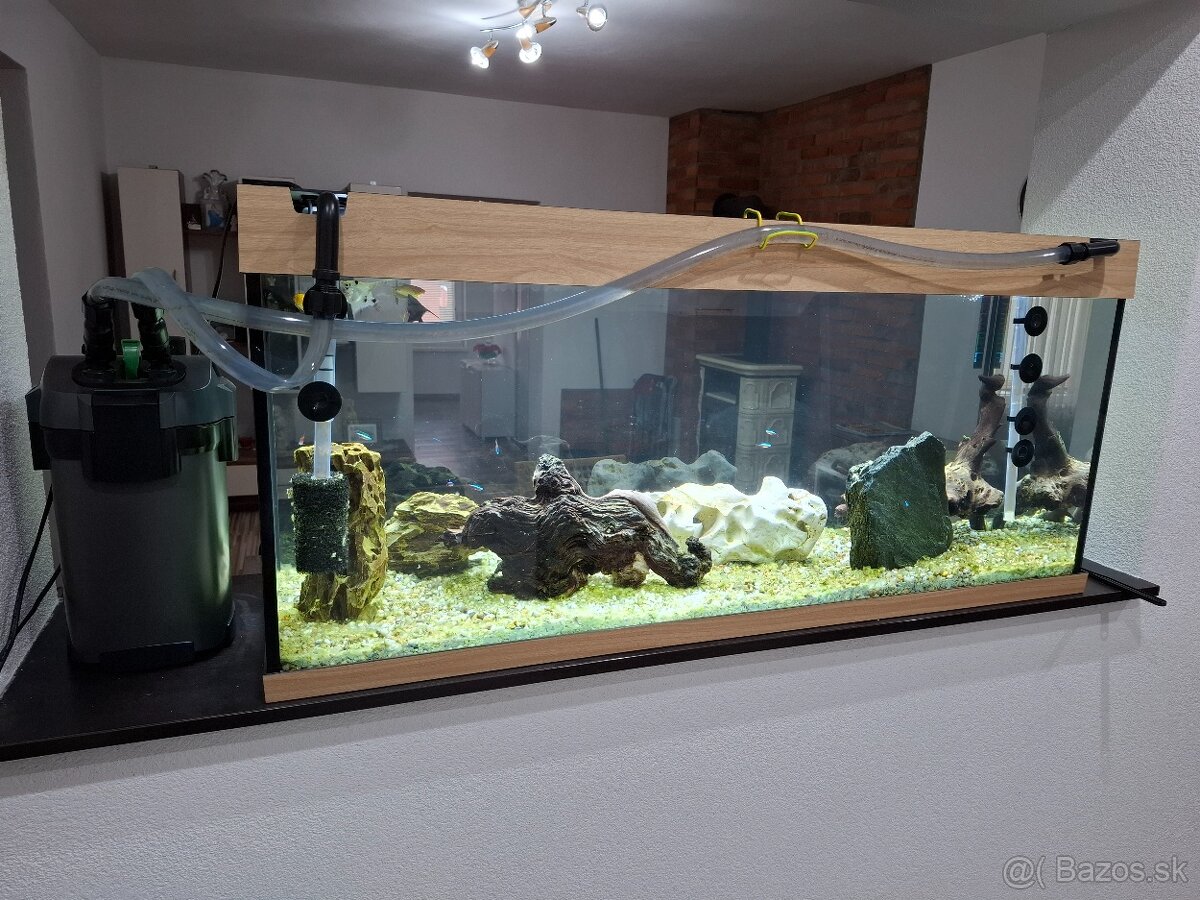 Juwel Rio LED 240L - 4