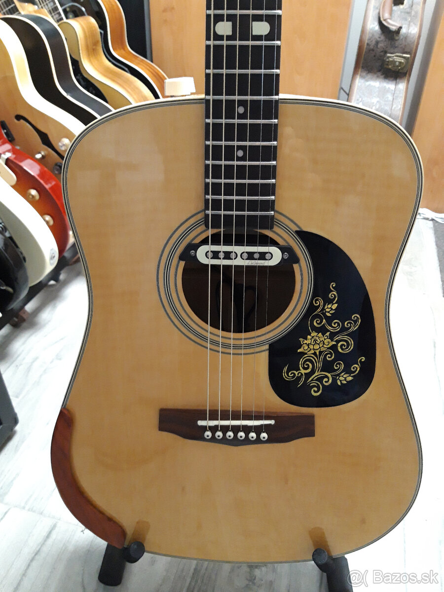 Elektroakustika Ibanez - 4