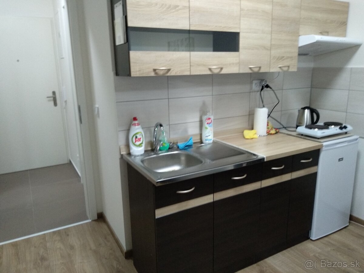 1izb.byt (1+kk) Rezidencia pri Radnici Strojarenska ulica - 4