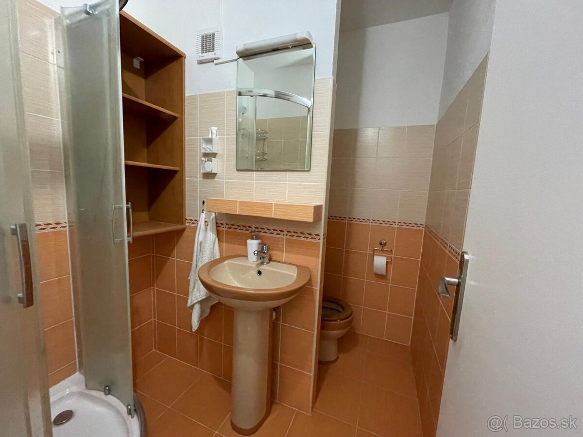 Prenájom 1-i bytu na Rovni - 4