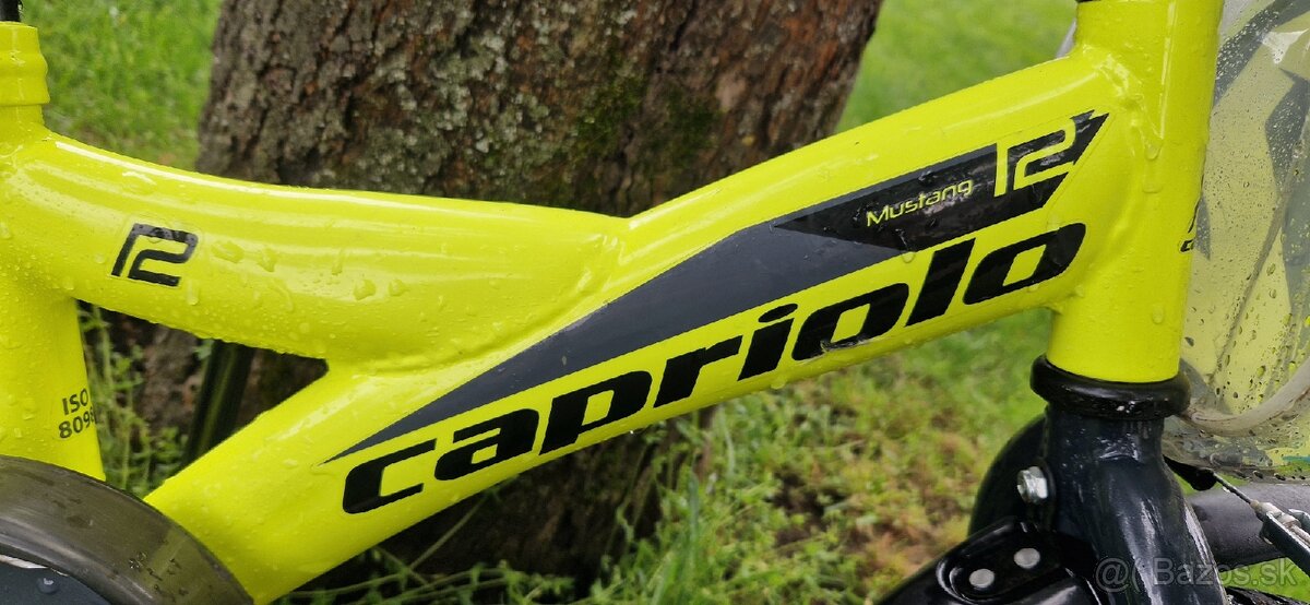 Detsky bicykel 12 Capriolo Mustang - 4