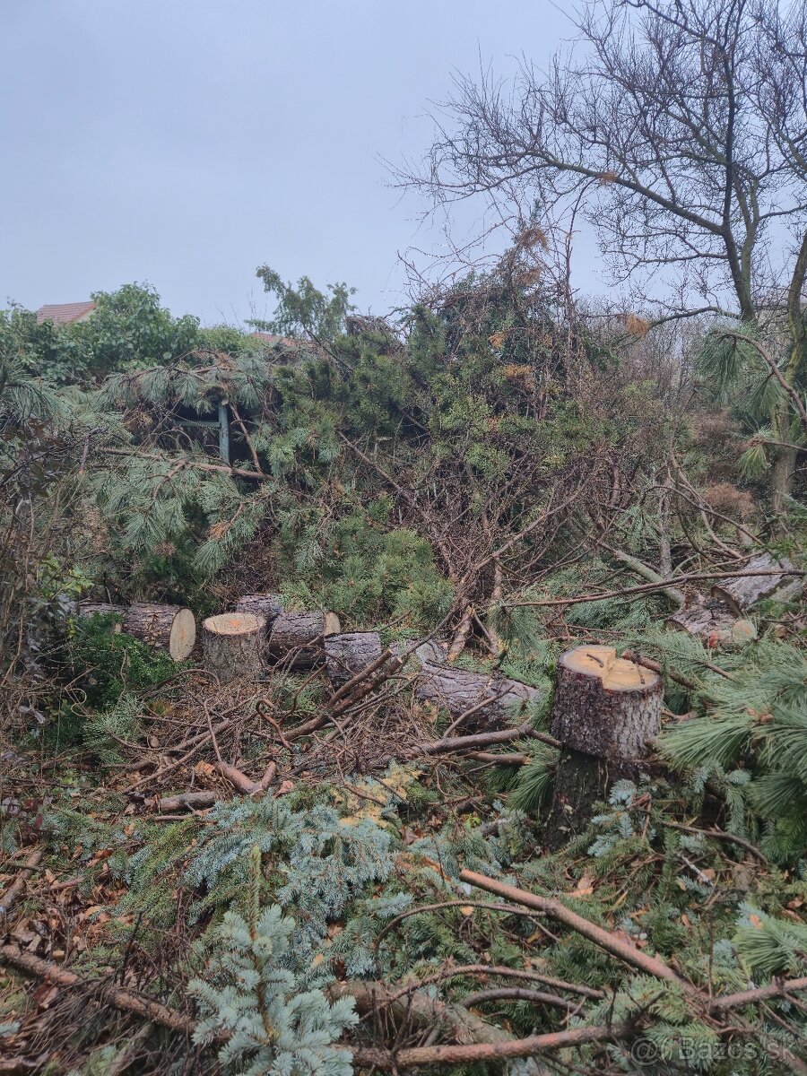 Darujem drevo a konáre - 4