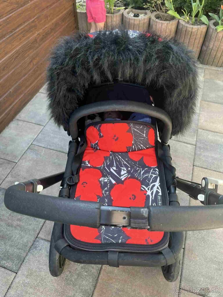 Bugaboo cam - 4