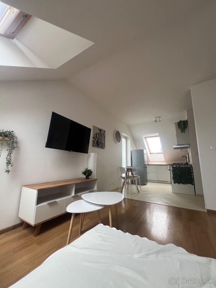 PETFRIENDLY 1-izbový byt so záhradkou (Biely Kostol) - 4