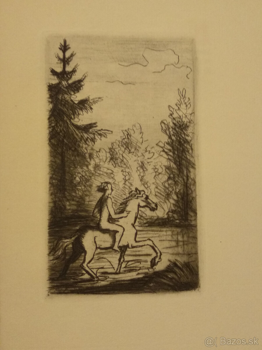 Bibliofília - zbierka básní - 4