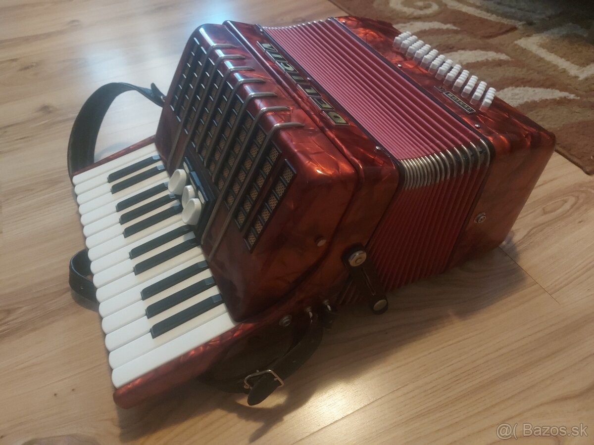 Harmonika Delicia Junior 4 - 4