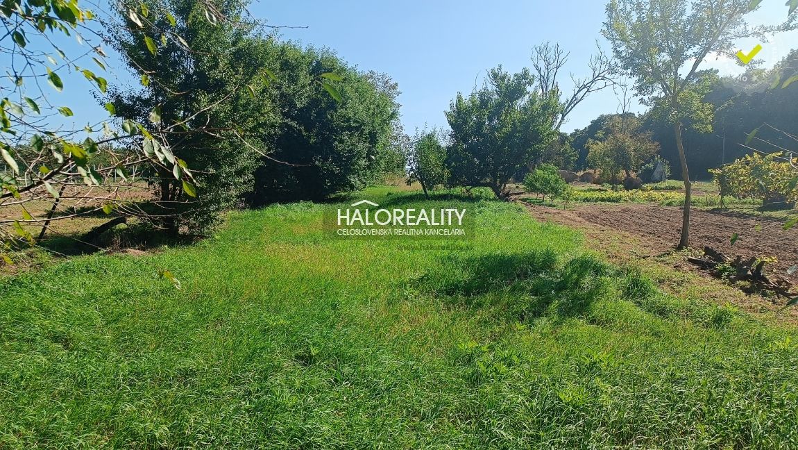 HALO reality - Predaj, rodinný dom Nitrianska Streda - ZNÍŽE - 4