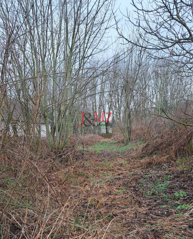 Stavebný pozemok 2.720 m2, šírka 20 m, LOK, Cena DOHODOU (SM - 4