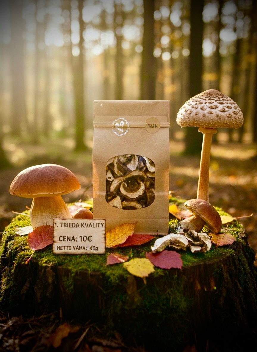 Sušené hríby ( dubáky, modráky, suchohríby ) - 4