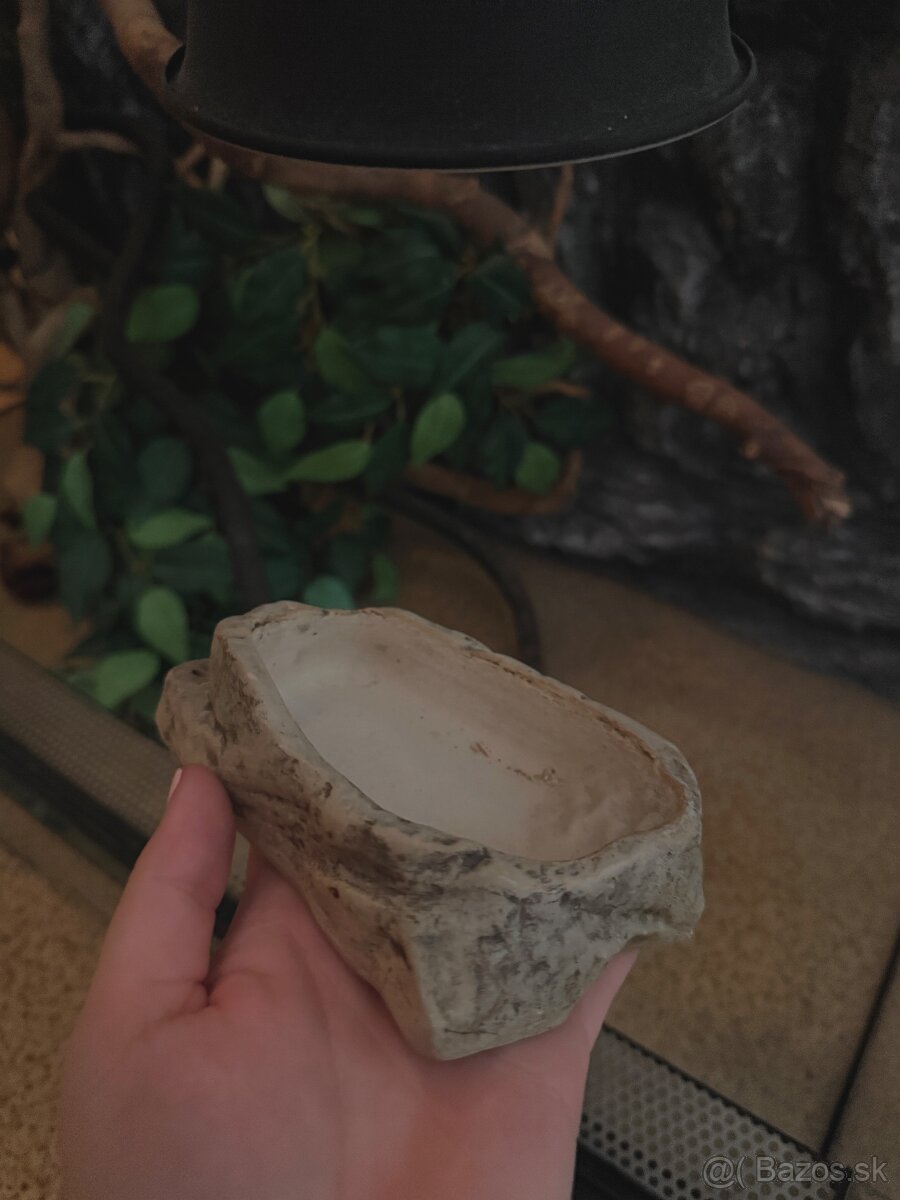 Kompletne vybavené terárium - 4