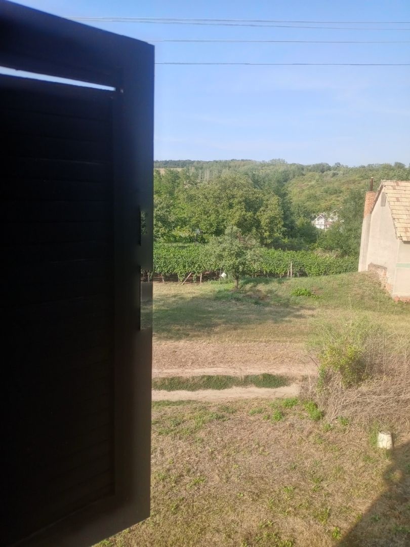 Patince /Modrany/ - Chata v vinohradom na predaj - 4