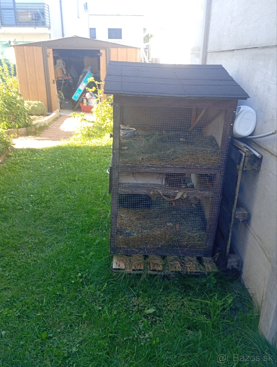 Domček aj zajačik - 4