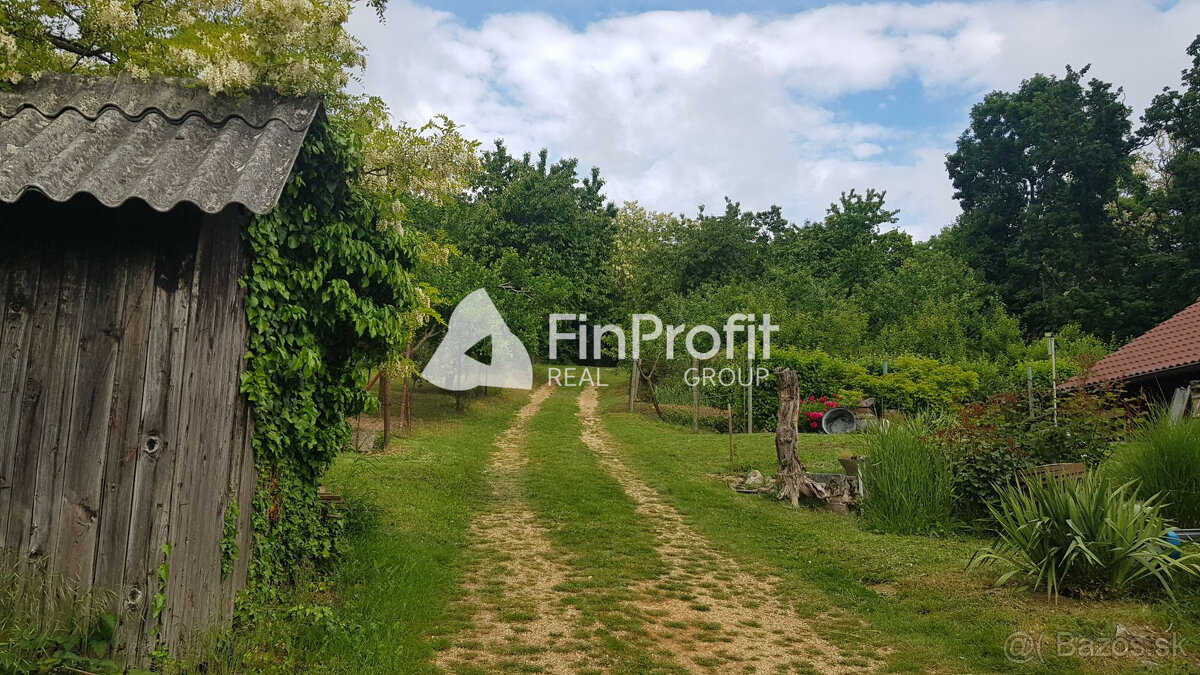 Prenajmem vinohrad v Koliňanoch pri Nitre. - 4