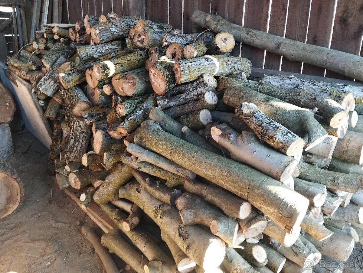 Orechové drevo-kmene palivové, kvalitné,už väčšie množstvo - 4