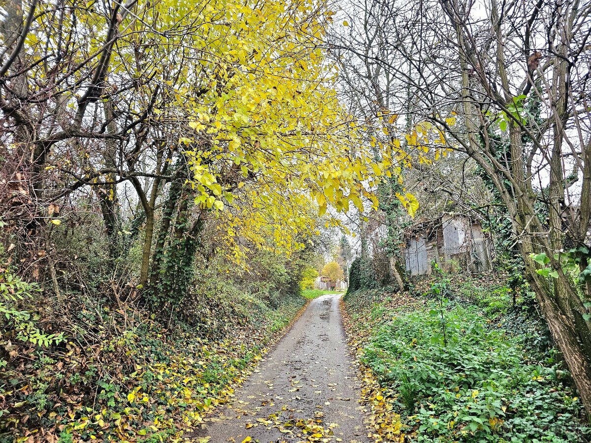 Rekreačný pozemok s vinicou Staré Levice - 4