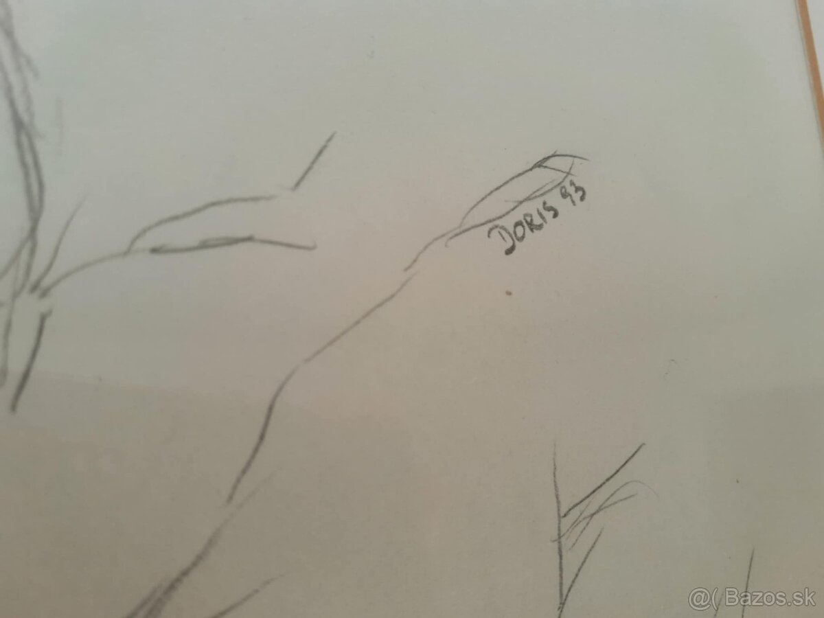 Kresba na výkres - Umelecké dielo - Doris - nahé ženy - akt - 4