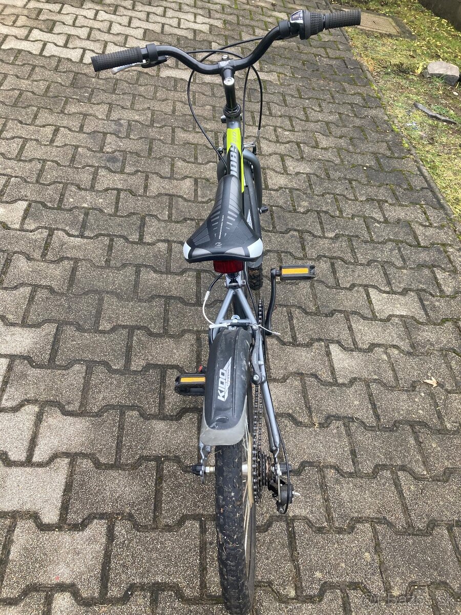 CTM 20” Scooby 2.0 - 4