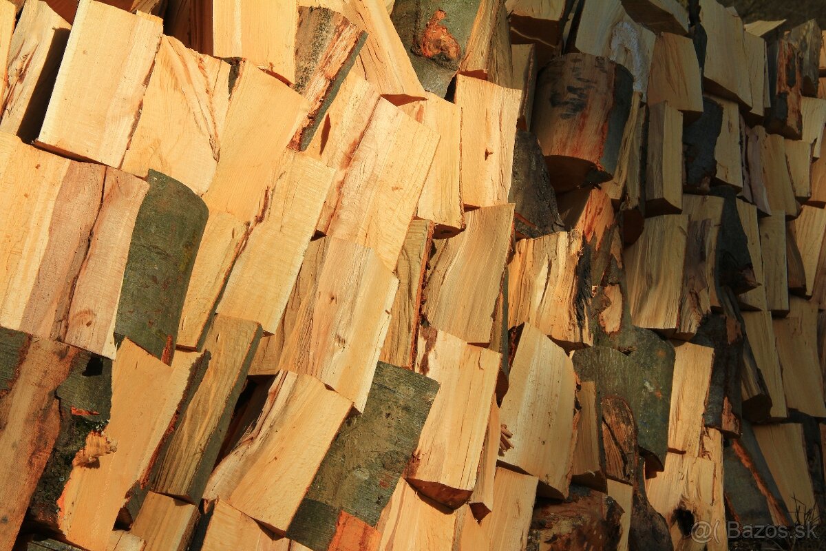 PALIVOVE DREVO BUK - 4