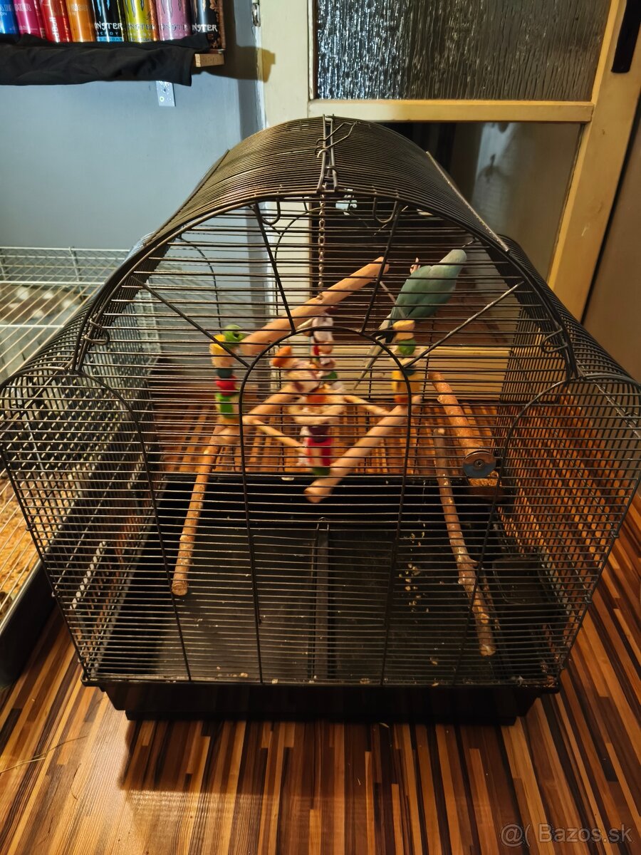 Alexander malý aj s veľkou klietkou - 4