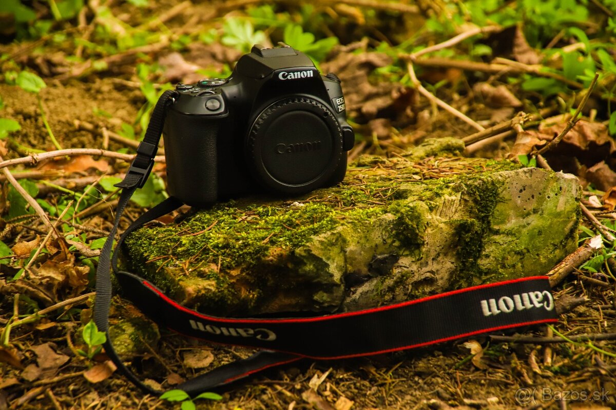 Canon eos 250D - 4