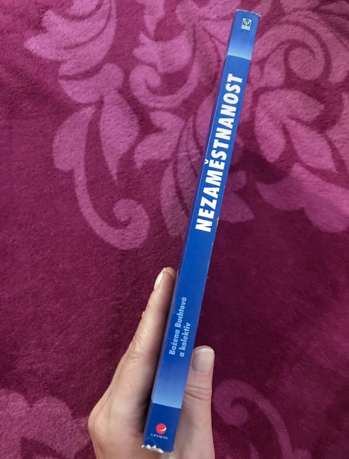 Nezaměstnanost psychologický, ekonomický a sociální problém - 4