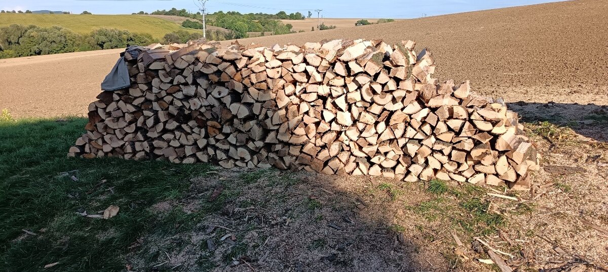 Palivové drevo - 4