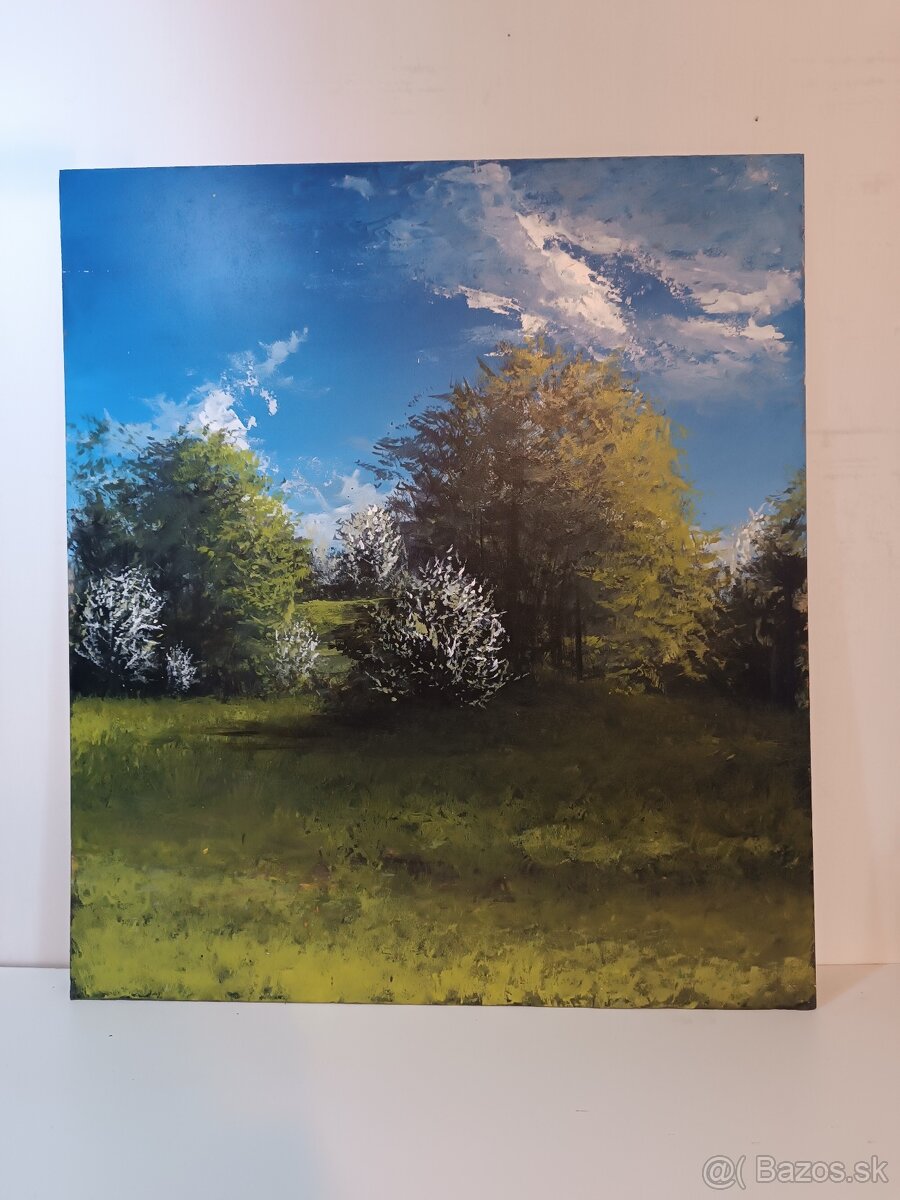 Akrylové obrazy 60x30 - 4