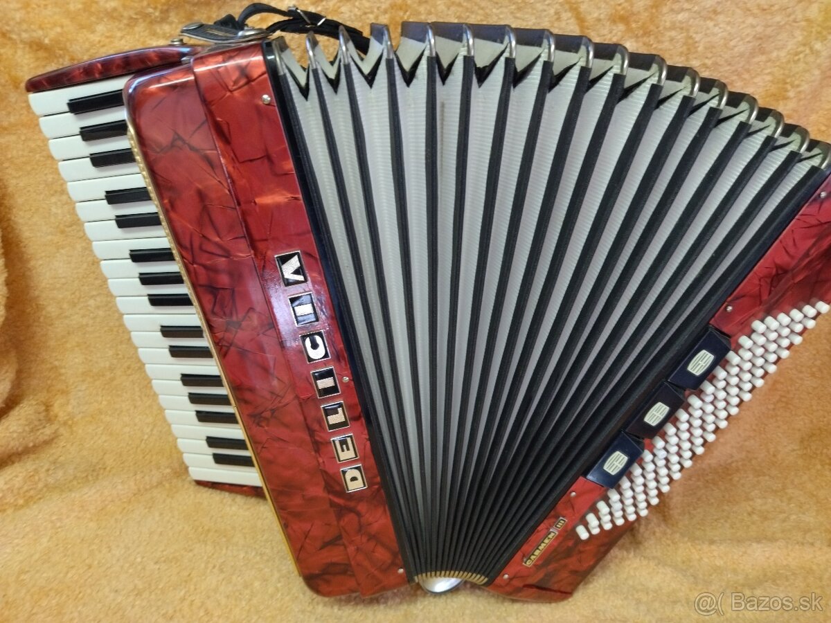 Harmonika akordeon Delicia Carmen III - 96 bas. - 4