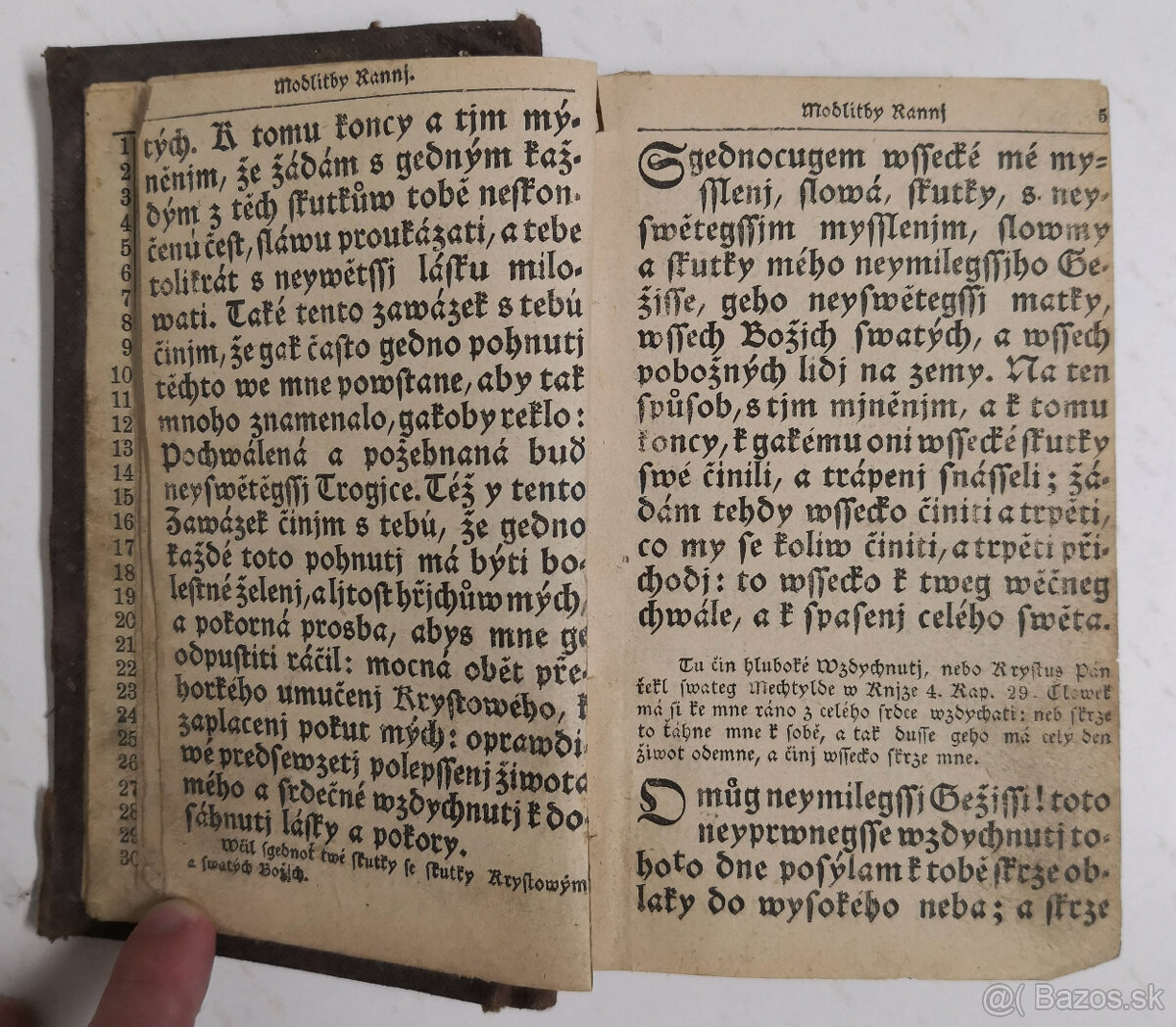 Stepná zahradka 1850 - 4