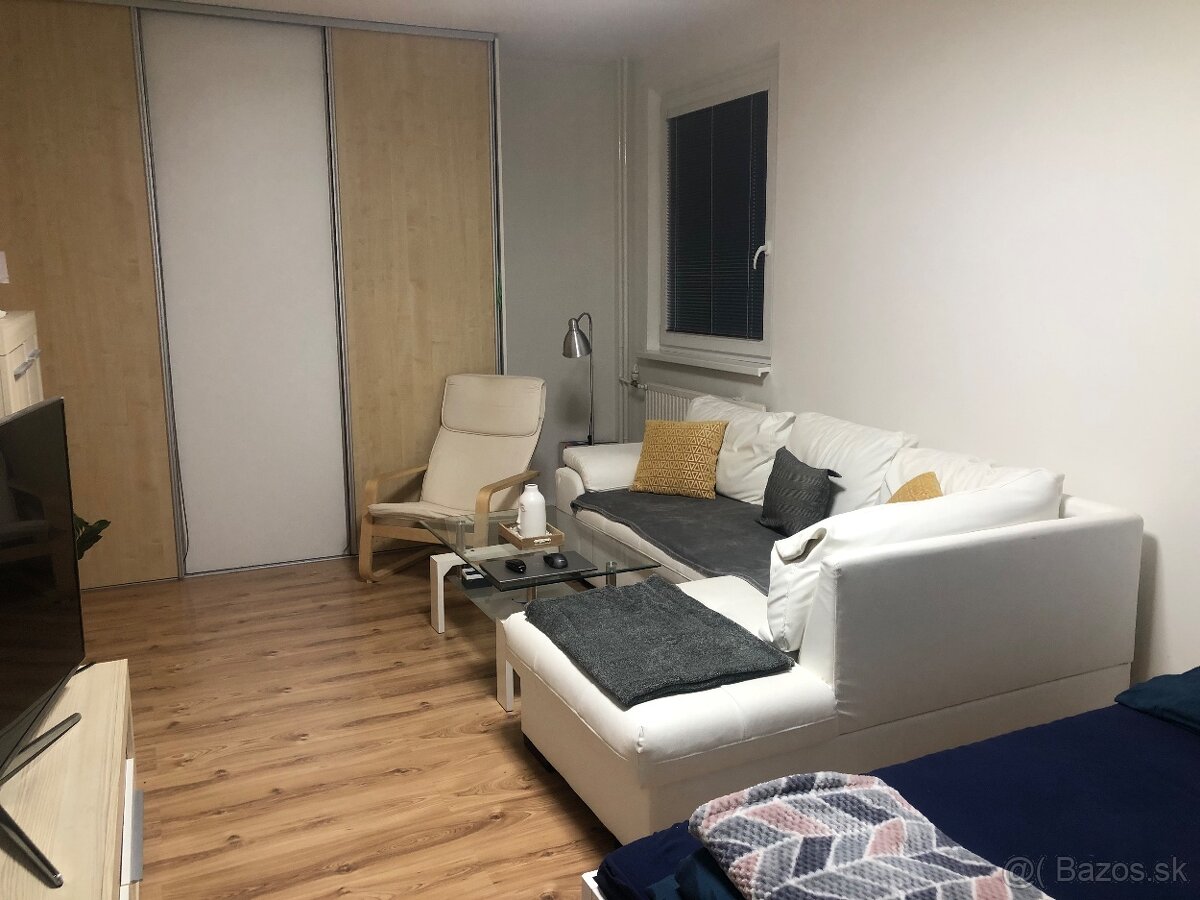 Prenájom 1-izboveho bytu - 4