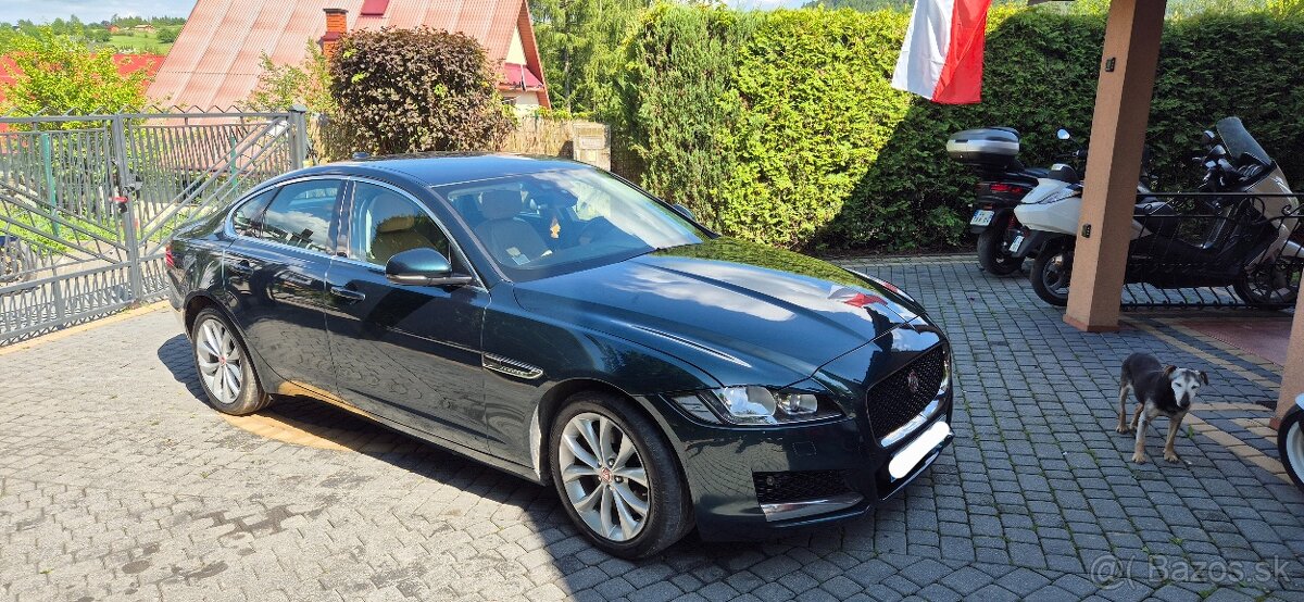 Jaguar XF 260 3.0 diesel - 4