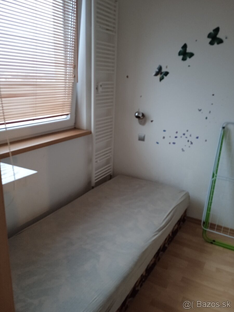 1 izbovy byt - 4