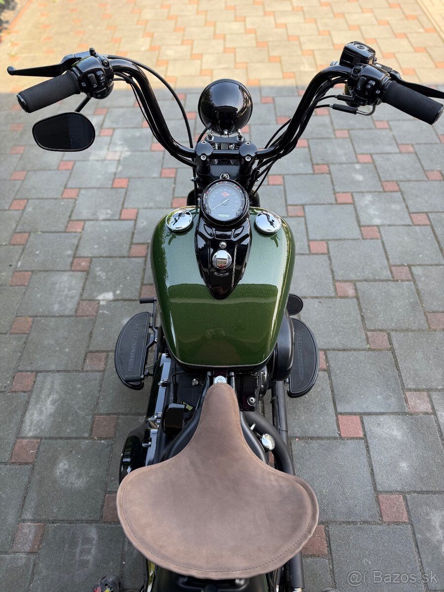 Harley Davidson Softail Cross Bones - 4