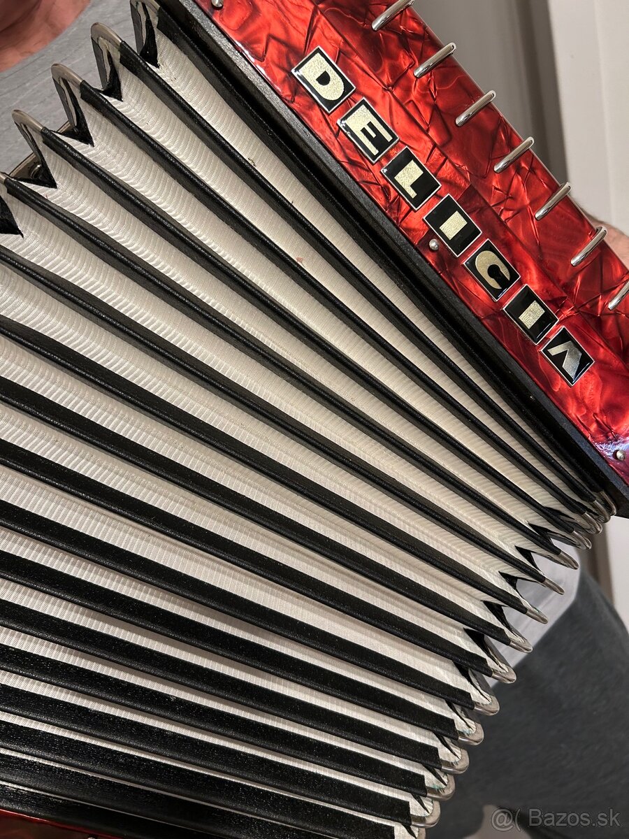 harmonika Delicia Junior IV, s originalnym púzdrom - 4